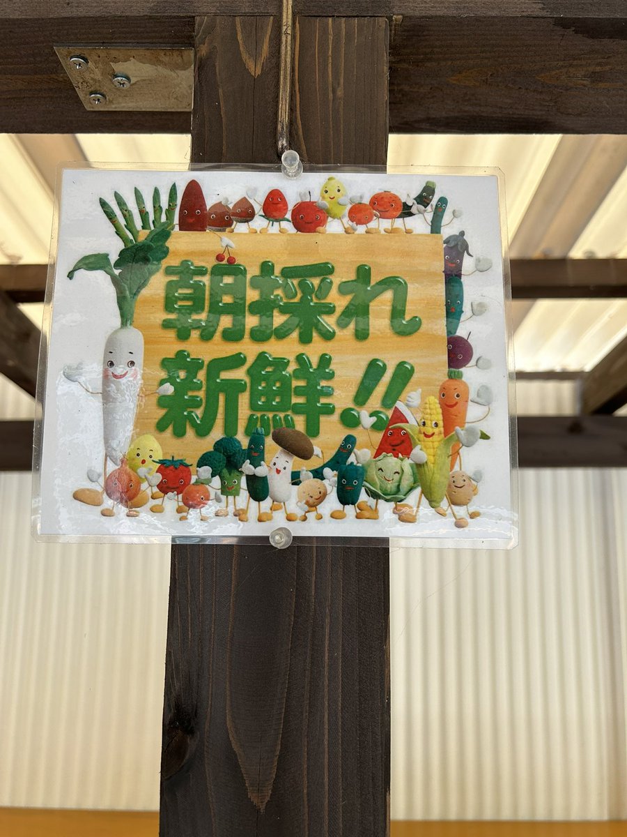 KouzinP's tweet photo. 野菜の無人販売所で、オクラの詰め放題で150円也🙌😊オクラ好きにとっては有り難い👍 https://t.co/OtLNP3ajj2