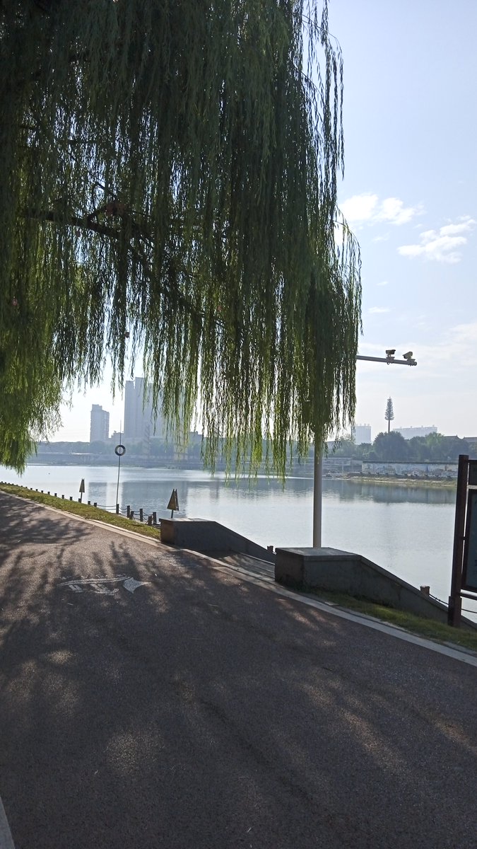 spring74139's tweet photo. Just wrapped a quick day trip to the city’s hidden riverside park—sun, fresh air, and way fewer crowds than I expected. Perfect little escape from work stress! https://t.co/CbZQZacQV0