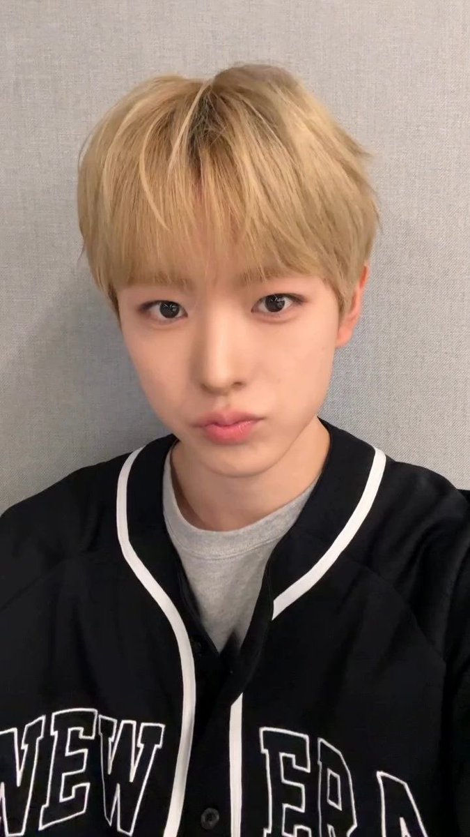 dancingnekobaby's tweet photo. 동글동글 저항없이 귀엽다 https://t.co/27HJHUTHm8