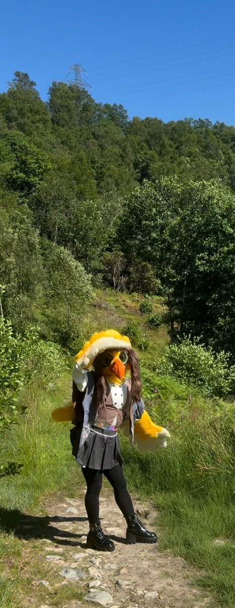 Chirpocalypse67's tweet photo. "Howdy Traveller !" 💛

📸: https://t.co/OKzhLWAc4F https://t.co/4NxTbtnmci