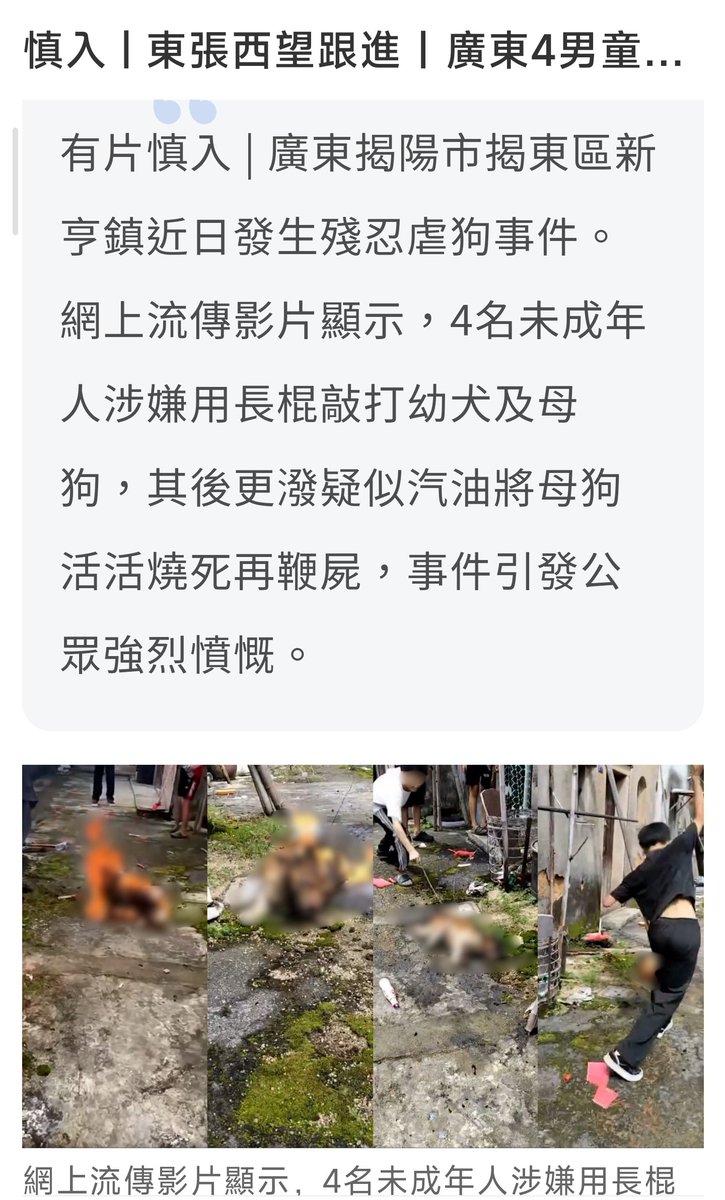 hyd008's tweet photo. 上一次知道这么凶残的生物还是侵华日军，恐长大后为费县案四鬼。未成年，精神病真好用。地狱空，魔在人，怕不是四小鬼，惧护犊大善人。不符合乌托邦制片厂剧本，来X备份🫪👍「坐牢」 https://t.co/58onkn5dLF