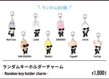 Stray Kids Japan Official on X: 