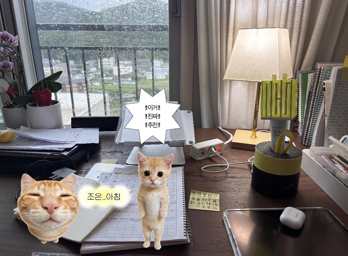 i_yeon42295's tweet photo. #studytwt 기초부터 탄탄하게 https://t.co/jJcLOU6iXN