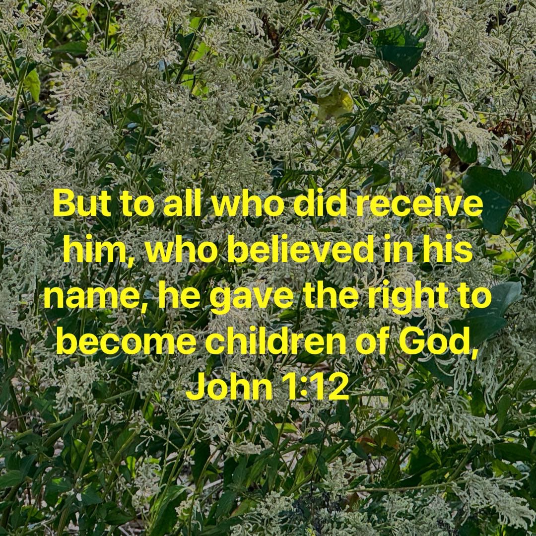 tweets_mb's tweet photo. #Jesus #Savior #ChildOfGod https://t.co/WapgwHPvXc