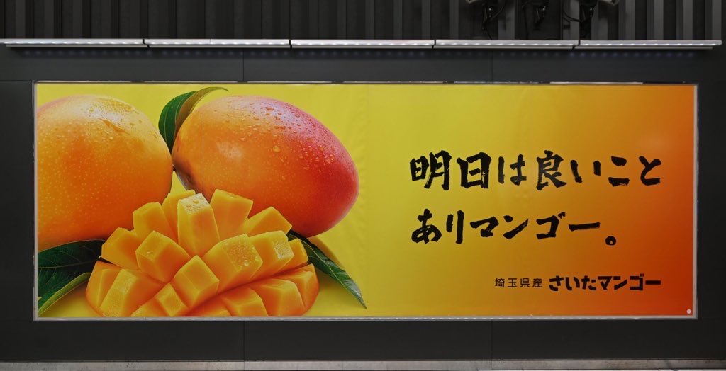 saitamango2020's tweet photo. ありがとうございます！凄く嬉しいです！
出して良かった昨年の広告🥭 https://t.co/vfl1Ny2ugh