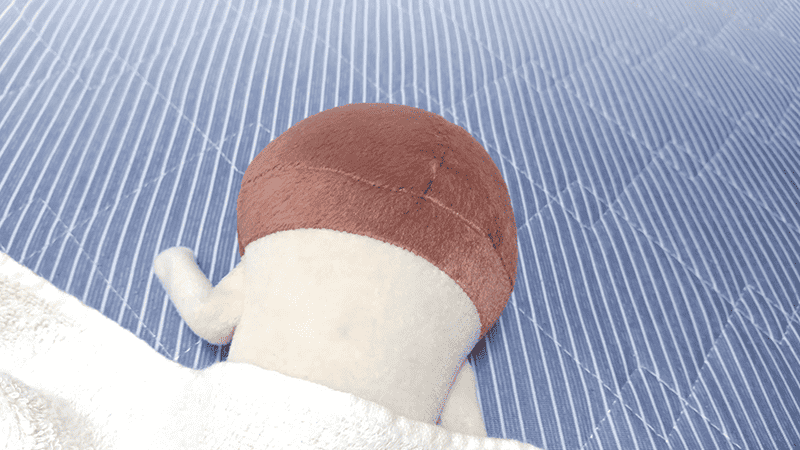 nameko_nnf's tweet photo. んふー（すぴー） https://t.co/Y6L4JC4hPP