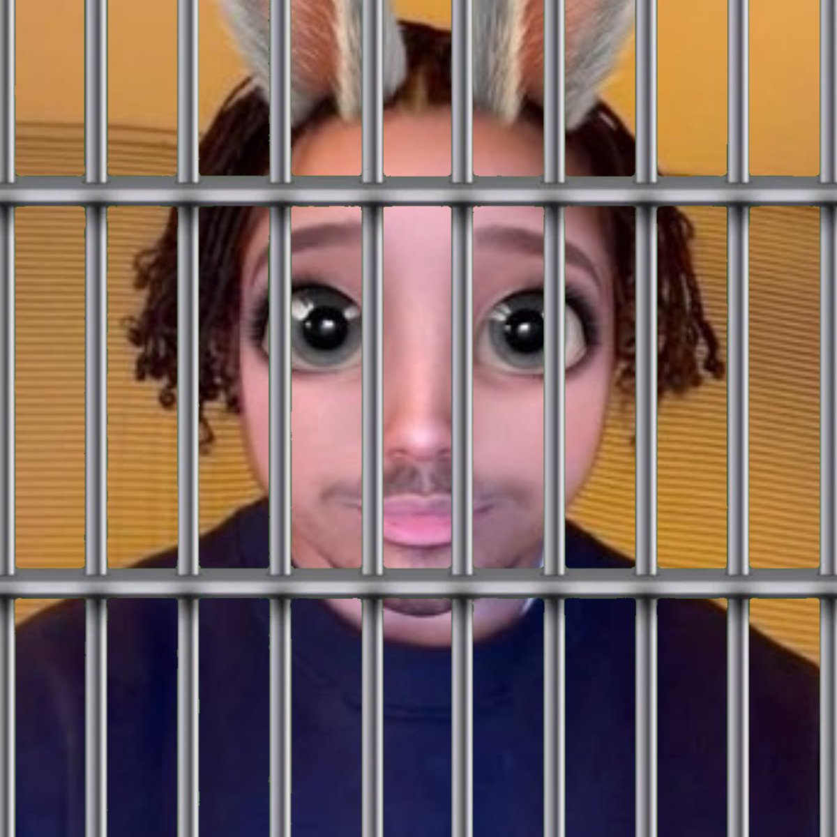 boftwt jail tweet media