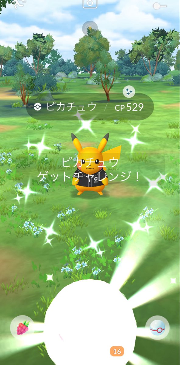 torapom86's tweet photo. 初ベースボールピカチュウ✨
背景なし

#ポケモンGO
#色違い https://t.co/vqEiYnIbd4