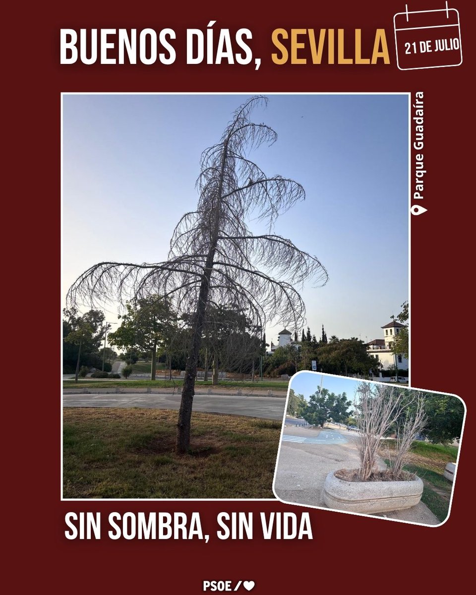 PSOEAytoSevilla's tweet photo. La ciudad languidece otro verano más...
#sevillaenmarchaatrás https://t.co/lNAMpU4A5F
