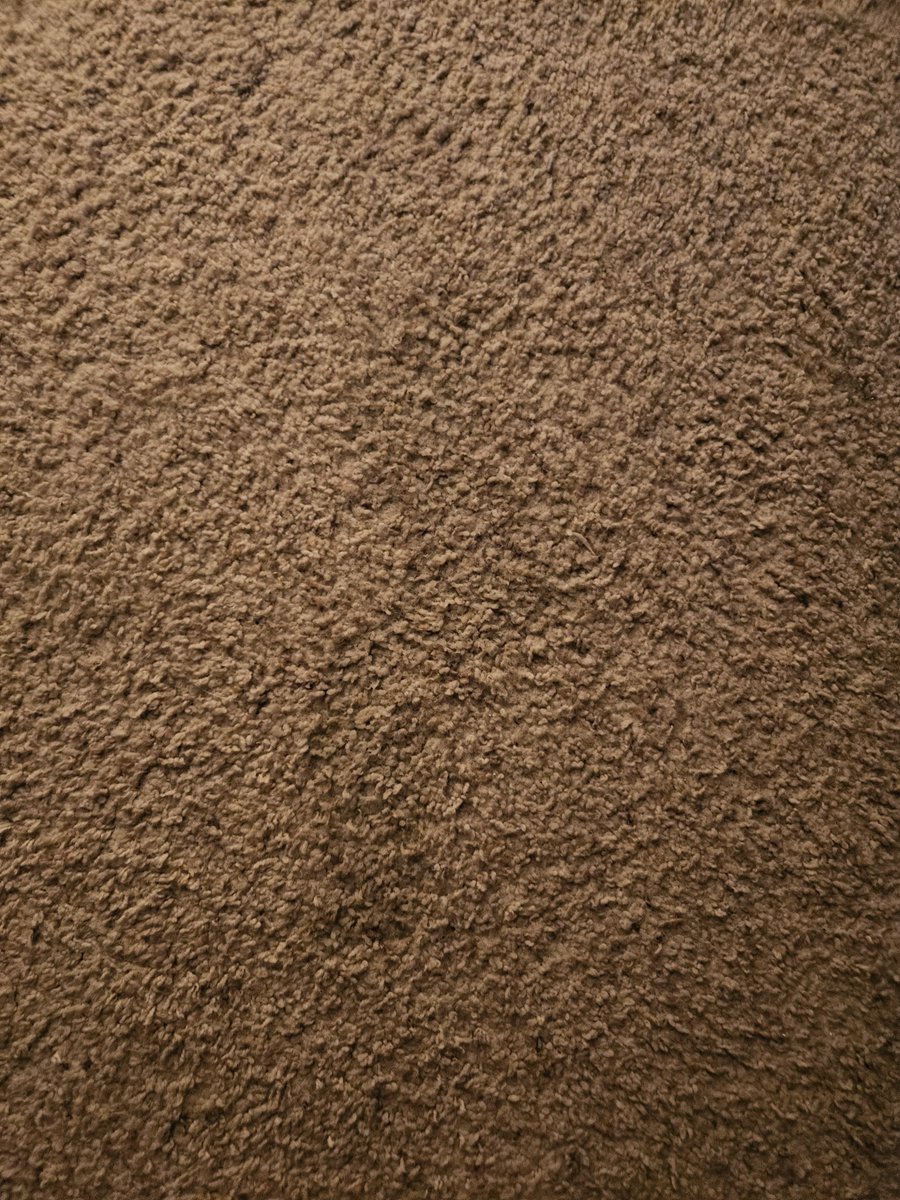weirddgirlluna's tweet photo. Drunk n pissing pt. 2 
#carpetpiss #piss https://t.co/NOyPRxYLHF