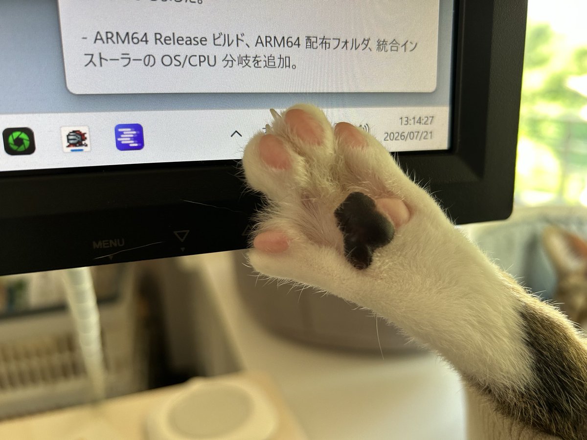 ねこ足