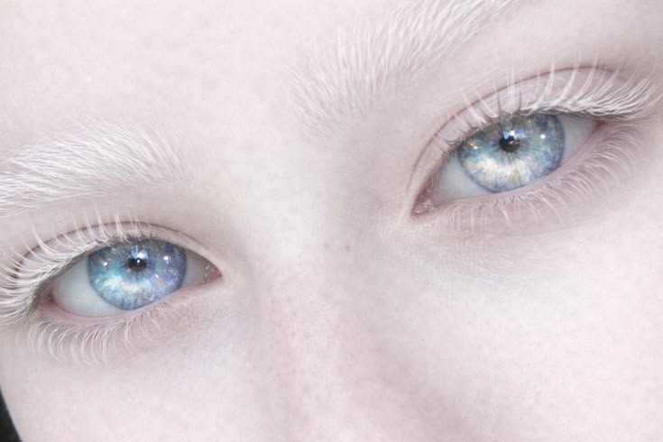 Marmorisiren's tweet photo. ᅠ

          ᅠ
ㅤㅤㅤㅤ
ᅠ

          ᅠ
ㅤ 𝒔𝒊𝒏𝒈 𝒕𝒉𝒆 𝒔𝒊𝒓𝒆𝒏'𝒔 𝒔𝒐𝒏𝒈, 𝒂𝒏𝒅 𝒕𝒖𝒓𝒏 𝒕𝒐 𝒔𝒆𝒂 𝒇𝒐𝒂𝒎 

          ᅠ
ㅤㅤㅤㅤ
ᅠᅠ

          ᅠ
ㅤㅤㅤㅤ
ᅠ https://t.co/SrRtjygj6C
