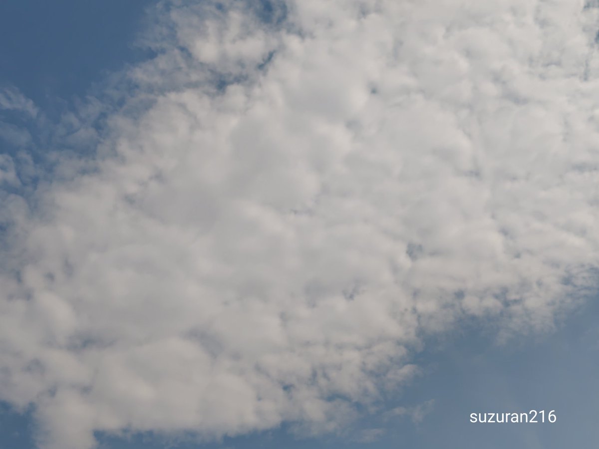 monaco202's tweet photo. 青空にうろこ雲☁
夏らしい空☀ https://t.co/QMMD3Z4tzL