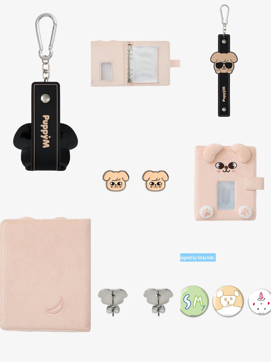 Stray Kids グッズ (Seungmin) スンミン その他 4点セット Stray Kids グッズ (Seungmin) スンミン その他 4点セット Amazon.co