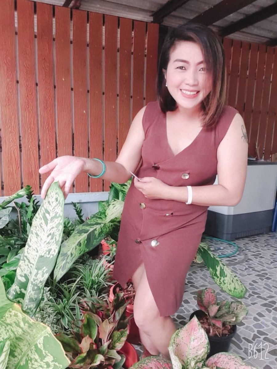 ttf4p's tweet photo. ทุกคนชอบต้นไม้
แต่ไม่ใช่ทุกคน..ที่รักต้นไม้
#ใส่ใจพร้อมดูแล# https://t.co/pJA6eVpal1