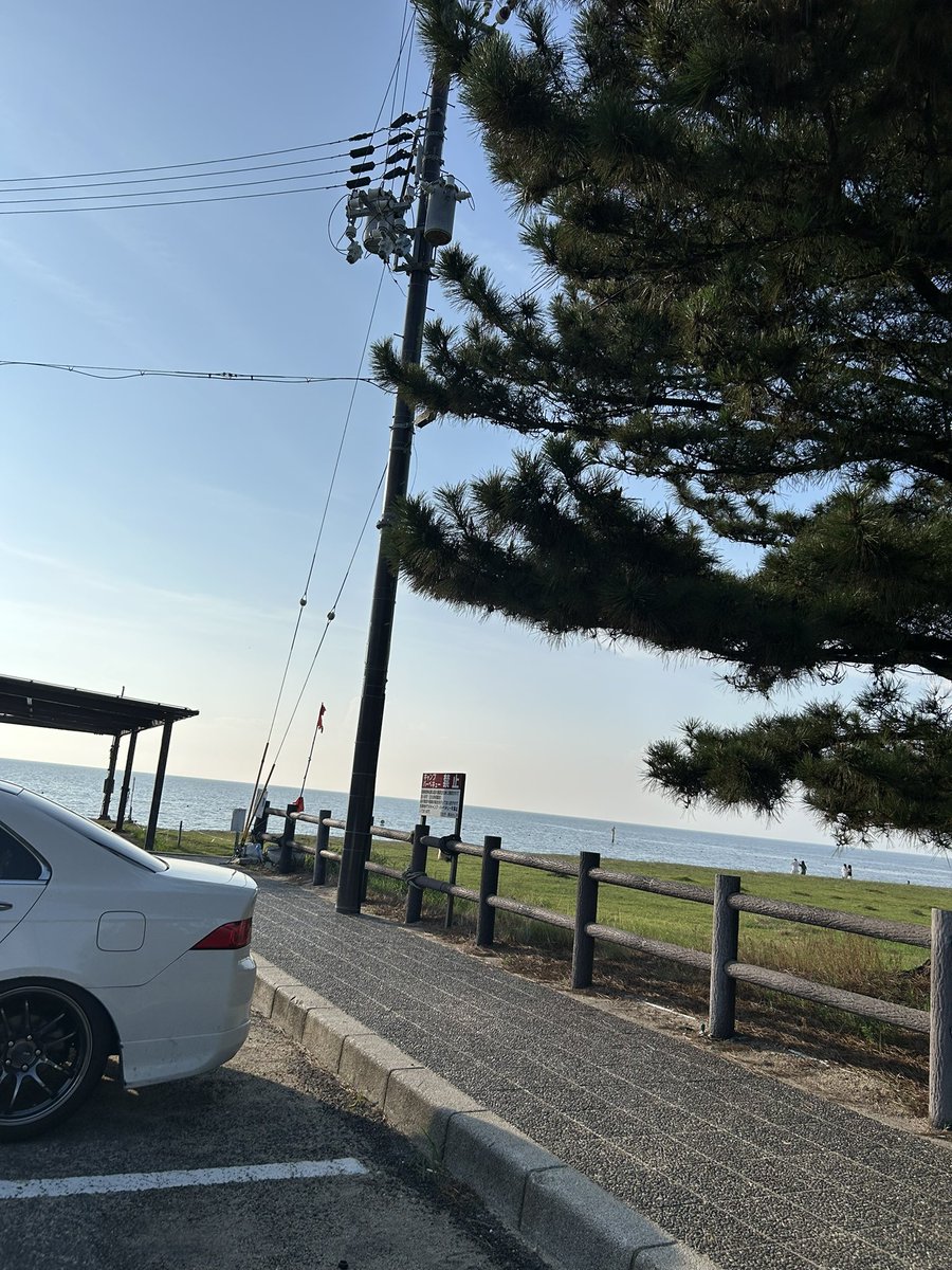 ﾓﾓ tweet media