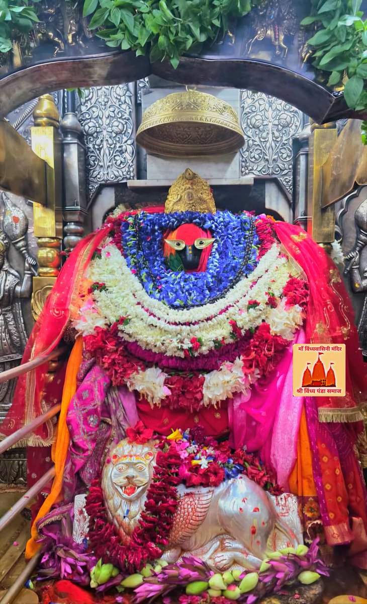 VindhyachalDha1's tweet photo. आज दिनांक 21/07/2026 (गुप्त नवरात्रि) मंगलवार के दिन करिये माँ के मंगला आरती का दिव्य दर्शन 
पाप ताप संताप विनाशा
सब तजि करहुँ माँ विंध्यवासिनी आशा 🙏
जय माँ विंध्यवासिनी

सेवक अटल त्रिपाठी
Mob.6386046245 https://t.co/j3NuPet9fI