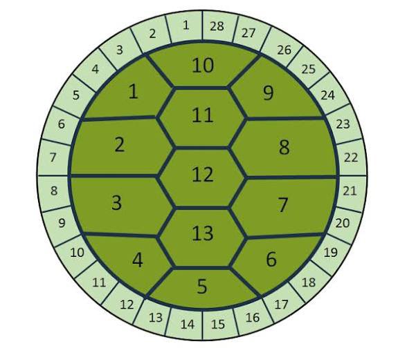OwenBenjamin's tweet photo. Every turtle shell matches the actual calendar and represents the firmament of heaven. It’s actually what “turtle shells all the way down” means and that we live on “turtle island” but materialists are too arrogant to understand metaphor https://t.co/ZdnENYCcxR