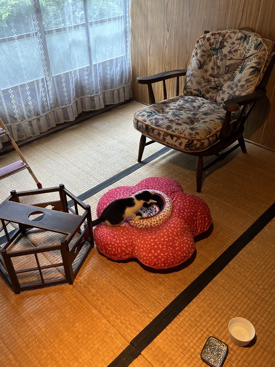 don_guri_gura's tweet photo. 深淵を覗く… https://t.co/MIKCvvmDZ7