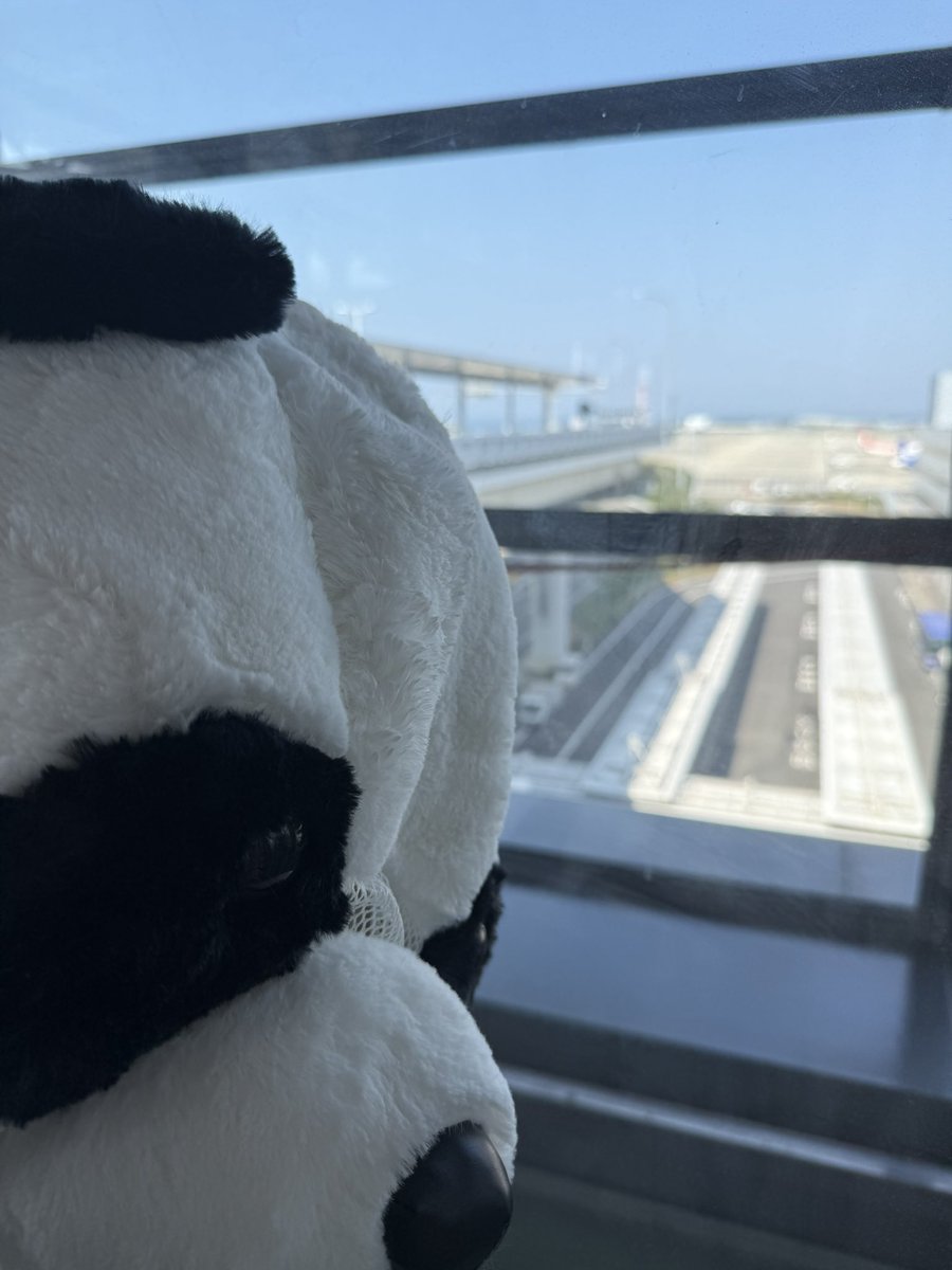 panta_claus's tweet photo. せっかく大阪着いたけど、ゲロアツくてもう帰ろうかと思ってるパンダがこちらです💁‍♂️🐼 https://t.co/SwuSI9wP1c
