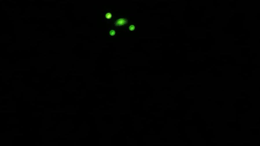 ElGatoerrante7's tweet photo. Extrañas luces en la #zonanorte de #Oaxaca, alguien más las vio? 
#extraterrestres #ovnis https://t.co/w4Aybg8Sem