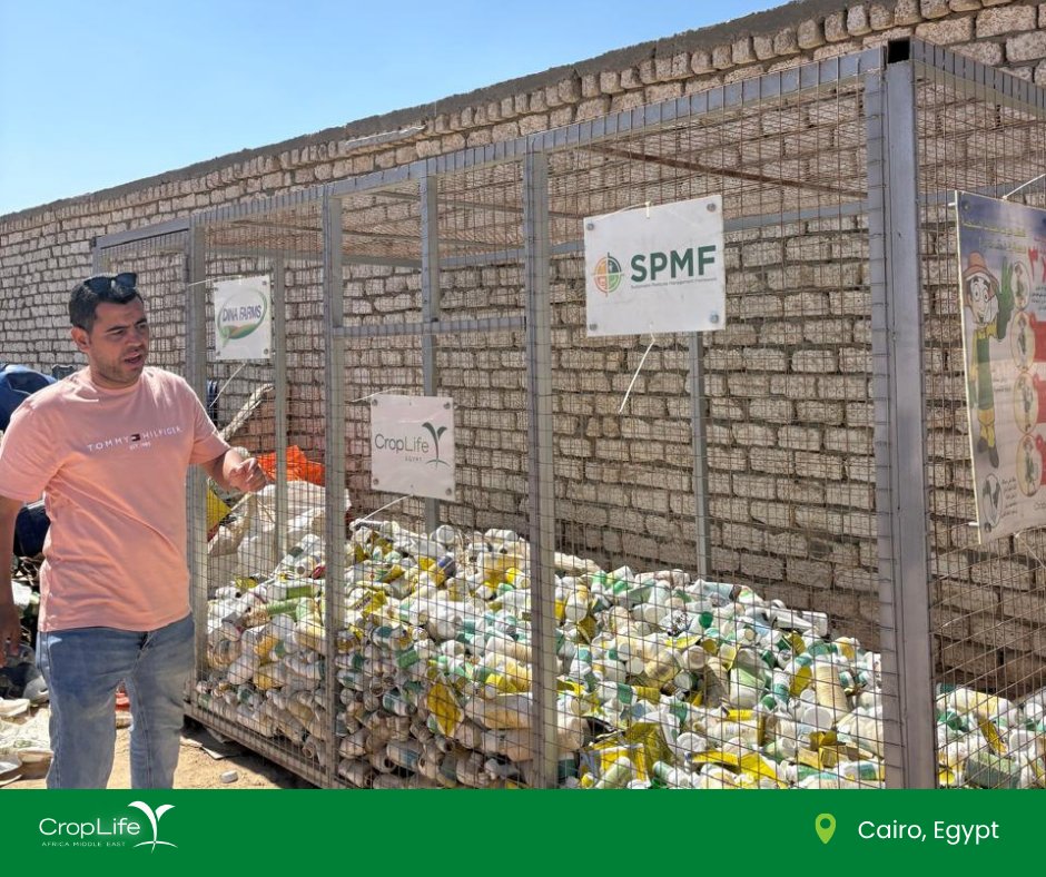 CroplifeAME's tweet photo. CropLife AME on the ground in Cairo, meeting the partners driving the Sustainable Pesticide Management Framework in Egypt. Progress so far: 2,439 registrations via the new e-portal, action on illicit trade, a container pilot at Dina Farms and farmer training in Luxor. #SPMF 🇪🇬 https://t.co/65l9f0oE8f