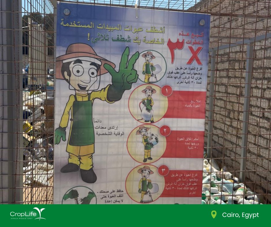 CroplifeAME's tweet photo. CropLife AME on the ground in Cairo, meeting the partners driving the Sustainable Pesticide Management Framework in Egypt. Progress so far: 2,439 registrations via the new e-portal, action on illicit trade, a container pilot at Dina Farms and farmer training in Luxor. #SPMF 🇪🇬 https://t.co/65l9f0oE8f