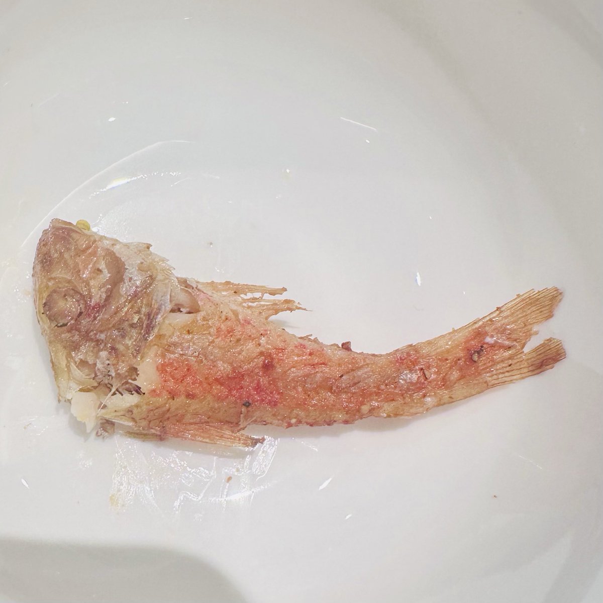 mengxiaoshe's tweet photo. 🍴#午餐吃啥子 各种鱼叫不出名字,这小鱼太好吃😋把中间吃掉拼个半鱼🥃#50ml https://t.co/m3MUBWvq4Q