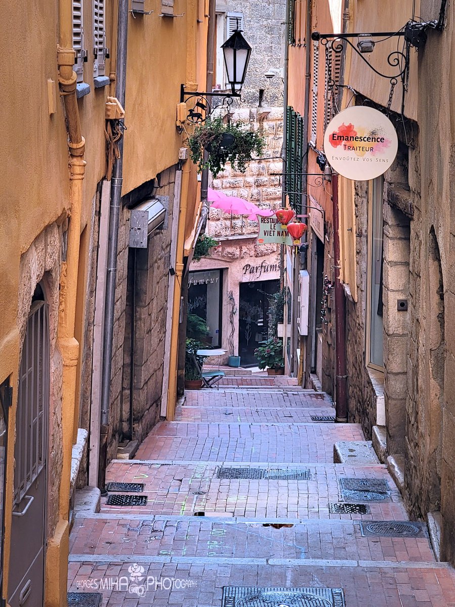 geozine_'s tweet photo. Aux premières caresses de l’aube à Grasse
@villedegrasse @OTPaysdeGrasse #grasse #FenetreSurLaCotedAzur #AmbassadeursCotedAzurFrance #ILovegrasse #grasse #CotedAzurFrance #georgesmiha #geozine #nicetourisme #ExploreNiceCotedAzur #alpesmaritime #InstantLavande https://t.co/U7kJ9v9d9k