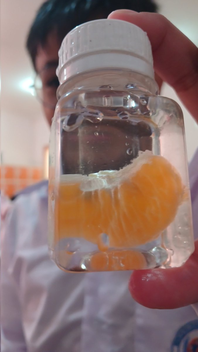arutalabry's tweet photo. Setelah kemarin dia bercocok tanam menggunakan media botol bekas air zam-zam dan disimpan di loker, sekarang
🧒: miss, aku punya peliharaan baru
🧕: *menghela nafas dengan tenang* https://t.co/ZZPOrGEMBh