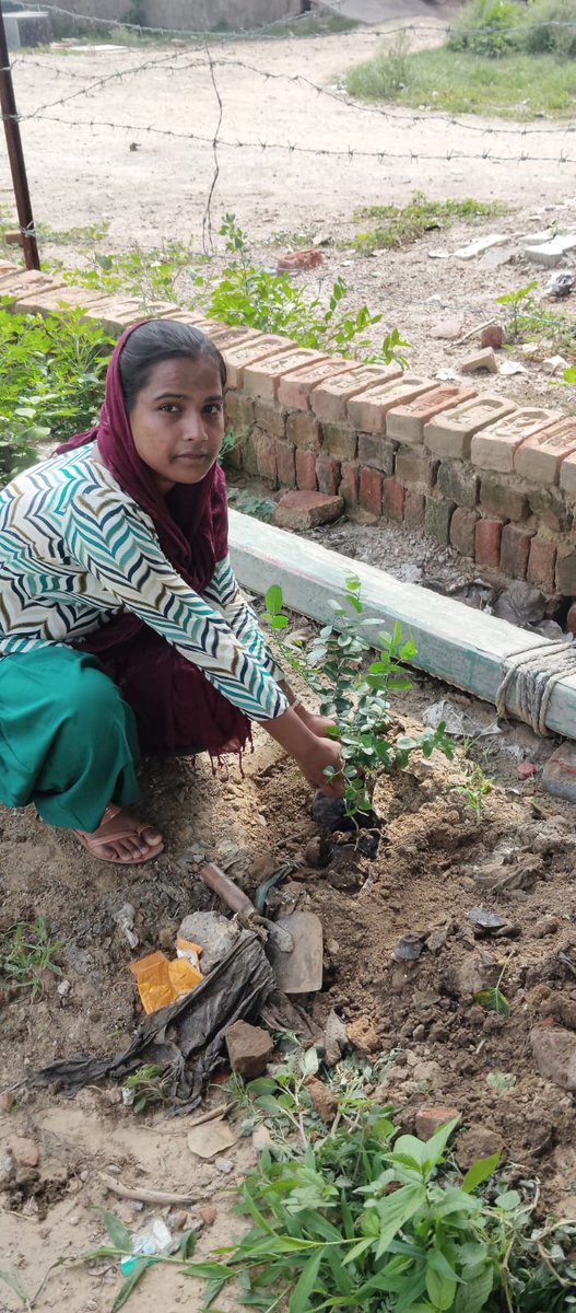 FoundationGbh's tweet photo. ग्वाल बाबा ह्यूमैनिटी फाउंडेशन के वृक्षारोपण अभियान में बच्चे, बड़े, माता बहाने सभी हिसा बन रहे हैं आप से निवेदन है वृक्ष आप भी लगायें @kapilde17775191 @BeingReva @UpforestUp @Ridhu417Sharma @DollyS4159 @VoiceOfBrahmins https://t.co/5MpDZFFTJz