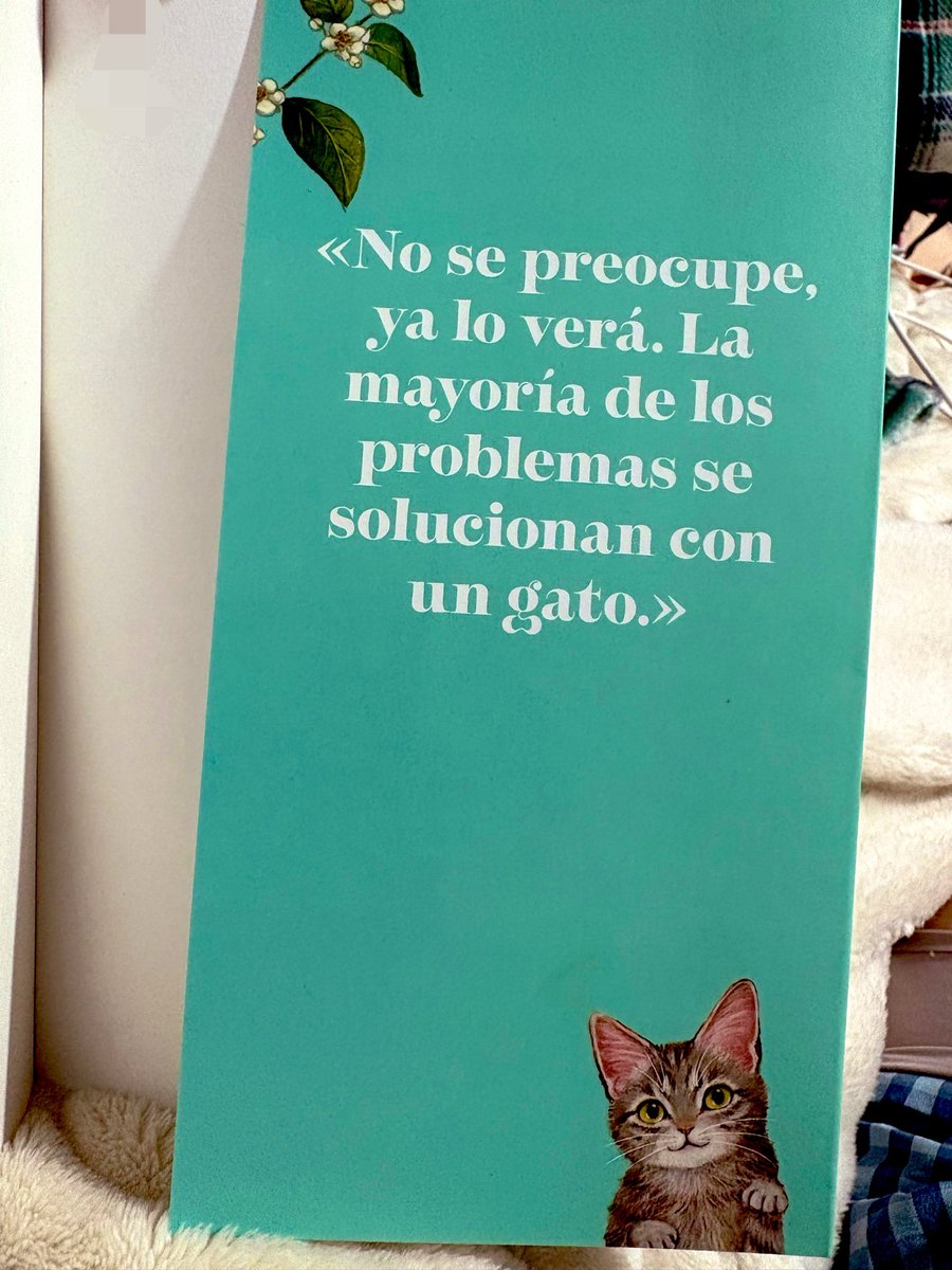 katiiluna's tweet photo. ❤️ https://t.co/Ck4bwxiF3s