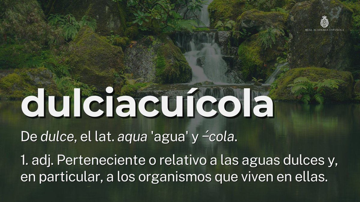 RAEinforma's tweet photo. #PalabraDelDía | dulciacuícola

Con la terminación «‒́cola» (del latín « -cŏla», de la raíz de «colĕre» ‘cultivar’, ‘habitar’) se forman voces referidas a habitantes de lugares como estas:

arborícola → árboles
cavernícola → cavernas
celícola → cielo
paludícola → pantanos https://t.co/fsQbDC0szO