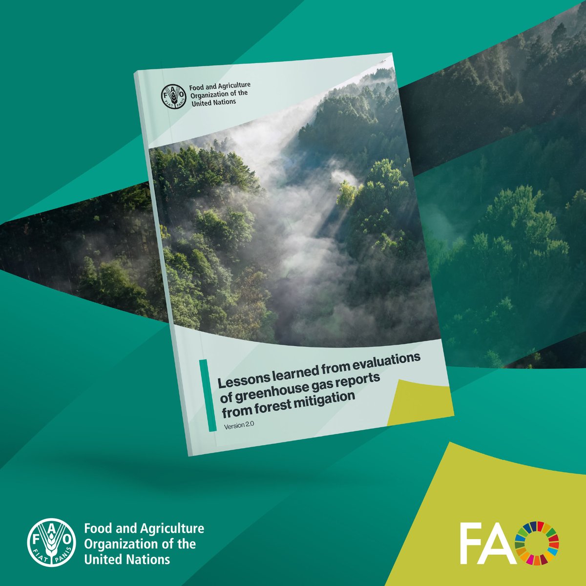 FAOForestry's tweet photo. New @FAO publication: Lessons learned from evaluations of greenhouse gas reports from forest mitigation.
The paper compares evaluation approaches across greenhouse gas programmes and highlights lessons for forest climate reporting.
📖 https://t.co/zFB4Da5gUe
#AIM4Forests https://t.co/lBi3Cg6UHY