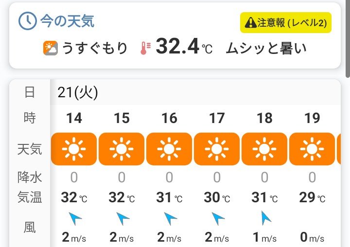 alenquer7's tweet photo. 気晴らし外気浴完了☀🥵🥵💦 https://t.co/TY57Ihhcdx
