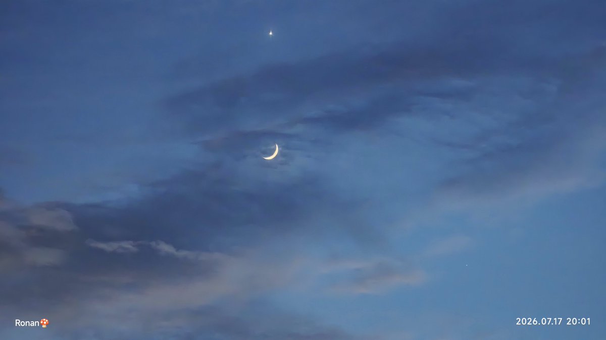 Likeliuhua's tweet photo. ⭐

🌙 https://t.co/RZnZ33XfYJ