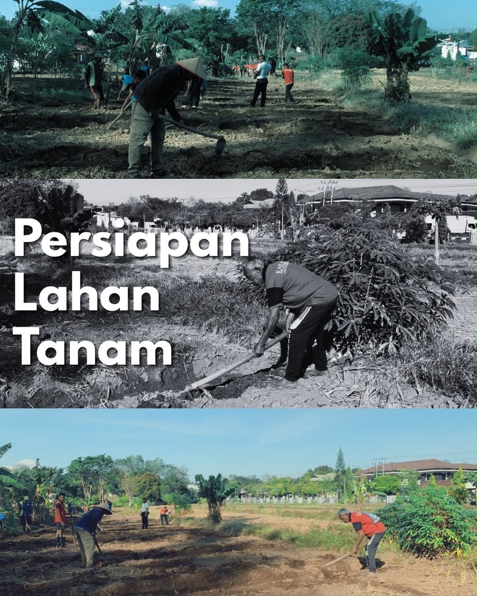 PolsuspasAtamb1's tweet photo. *Lapas Atambua Kembali Siapkan Lahan Kembangkan Kebun Hortikultura Seluas 1 Hektar* https://t.co/U7wQL57EHz