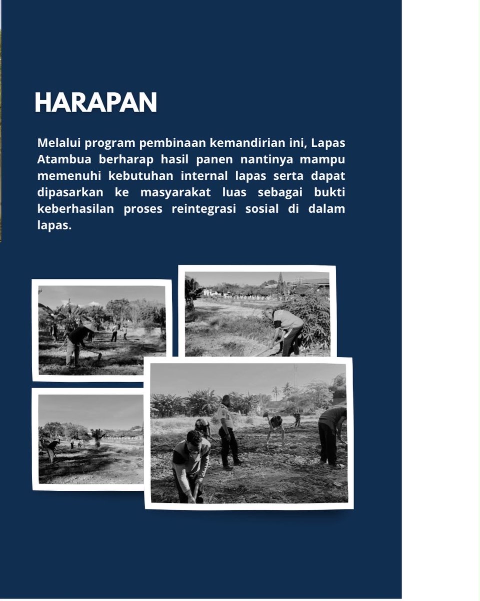 PolsuspasAtamb1's tweet photo. *Lapas Atambua Kembali Siapkan Lahan Kembangkan Kebun Hortikultura Seluas 1 Hektar* https://t.co/U7wQL57EHz