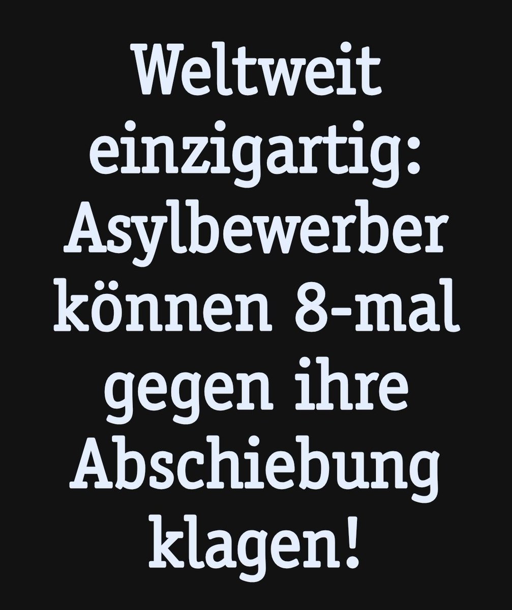 🌼🌿 Sommerkadse 🌻🐝 tweet media