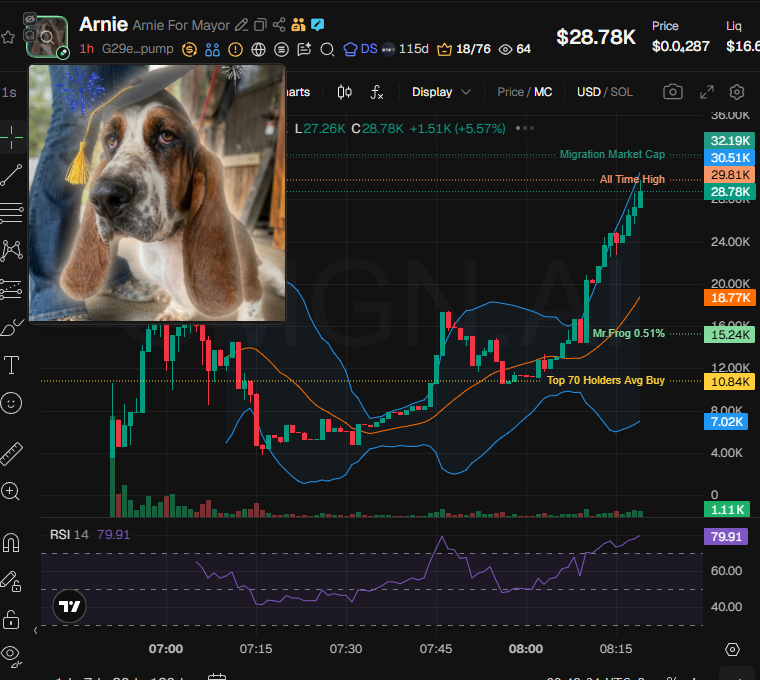 badattrading_'s tweet photo. $Arnie (CA G29ebWguQe9LkZcgf9mXHuBW2eQN488b5VjnNn8xpump) doesn't have insiders, snipers have 8.5% per devsnightmare. Team holds 1.7%. Scharo, Trenchman, Para, 0dollar1, Mr.Frog are top holders.

A cluster has 4.7% on the bubblemap. CEX cluster has 67%, Binance funded wallets have 25.4%, Coinbase 29.3%, Moonpay 6.8%, Bybit 5.6%, Bitget 5.6%, OKX 4.4%, Mexc 3.1%, HitBTC 1.7%. 

Top 70 holders have 98%, top 10 have 27.2%, 195 holders with an average bag at $145. Nfa