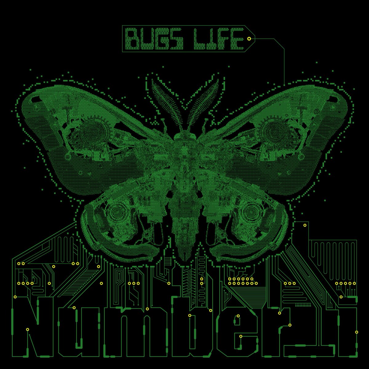 oricon_ranking's tweet photo. 【オリコン週間デジタルシングル(単曲)ランキング🎧】7/27付
👑1位👑
Number_i『BUGS LIFE』
.
自身通算9作目の
デジタルシングル1位❗️❗️❗️
.
神宮寺勇太さんプロデュースの最新曲です👾🦋
.
#number_i @number_i_offic https://t.co/uMf6WepvI8