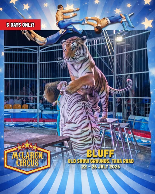 mclarenscircus's tweet photo. #McLarenCircus renowned for their beautiful performing animals are at #TheBluff in #Durban till Sunday ๐ช๐๐ฆ๐ฏ๐ช๐ด๐ฉ๐คก๐ฉโบ๏ธ๐ฅณโค๏ธ
Coming Soon to #Pietermaritzburg #Chatsworth #eThekwini #KZN
#GalaxyAI Mpho #Spain World Cup Blessed Tuesday
Buy Tickets Online: https://t.co/Y5XPaa1RcI https://t.co/d4GbFm4gd0