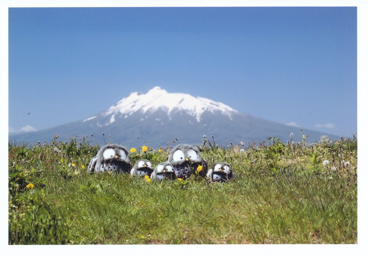 tsugarukoiki's tweet photo. 特派員から投稿された地域資源レポートを紹介します。

テーマ：あなたのまわりの季節を感じるもの
タイトル：家族で散歩
投稿者：りのたんさん（黒石市）

残雪の岩木山があまりにもキレイだったので、孫が昔使ったぬいぐるみを持って、パチリと一枚。

#黒石市 #地域資源レポート #津軽広域連合 https://t.co/O8yFwSLU9k