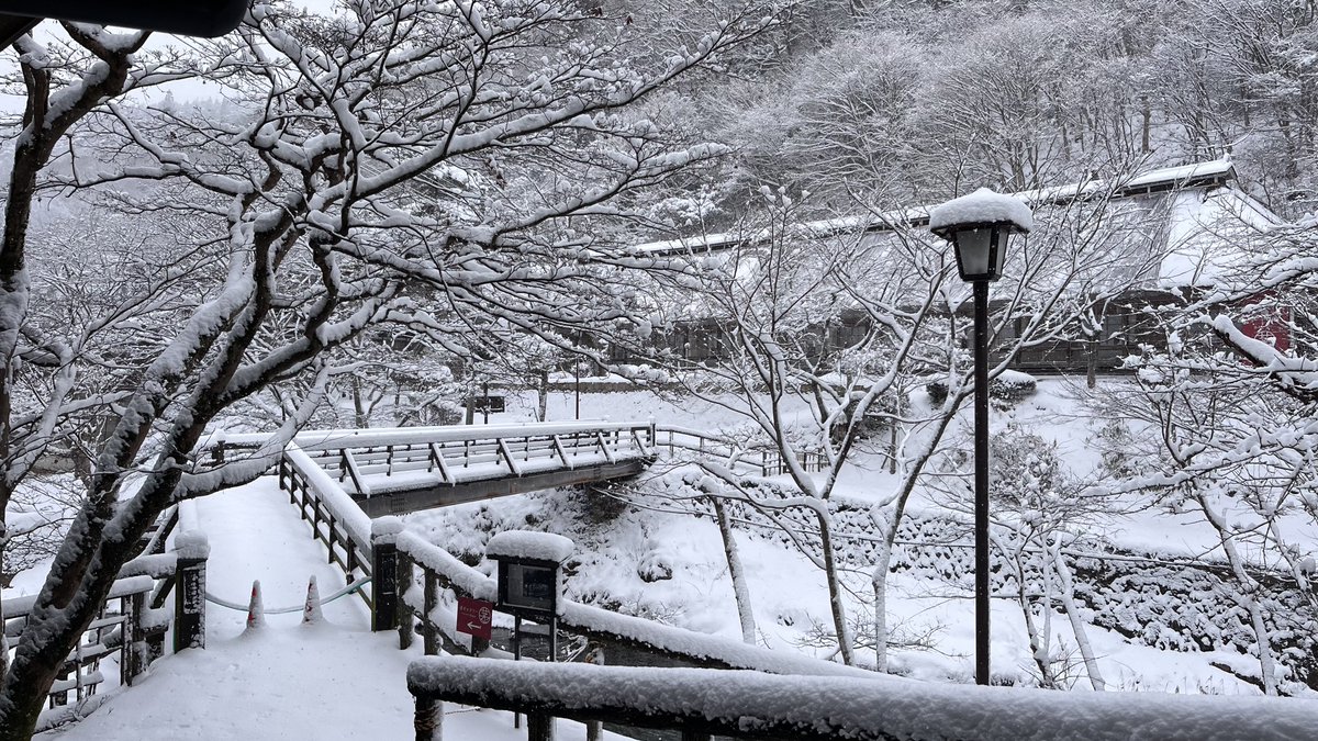nomadiclife5984's tweet photo. 真冬の大沢温泉は最高よ？
#暑すぎるので雪の画像で涼もう見た人もやる https://t.co/9nyRXvLZfG