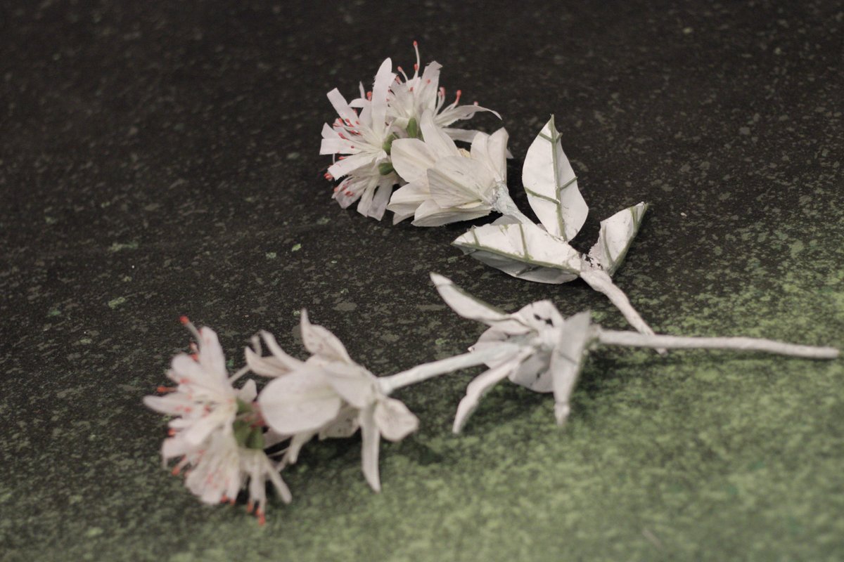 r16Yashiro's tweet photo. 演出を務めました
SCANP
「コウの花嫁」
無事終演
ご来場ありがとうございました

充分に知ってる
また関わりたいと思ってた
新たな出会いとなった
人人人

多くの学びと素敵な時間の連続　嬉しい
もっと各人と向き合いたかった　悔しい

今後も磨くスニーカーとスキル
また劇場で

憲俊率いる笑 https://t.co/A2CtQQWKzZ