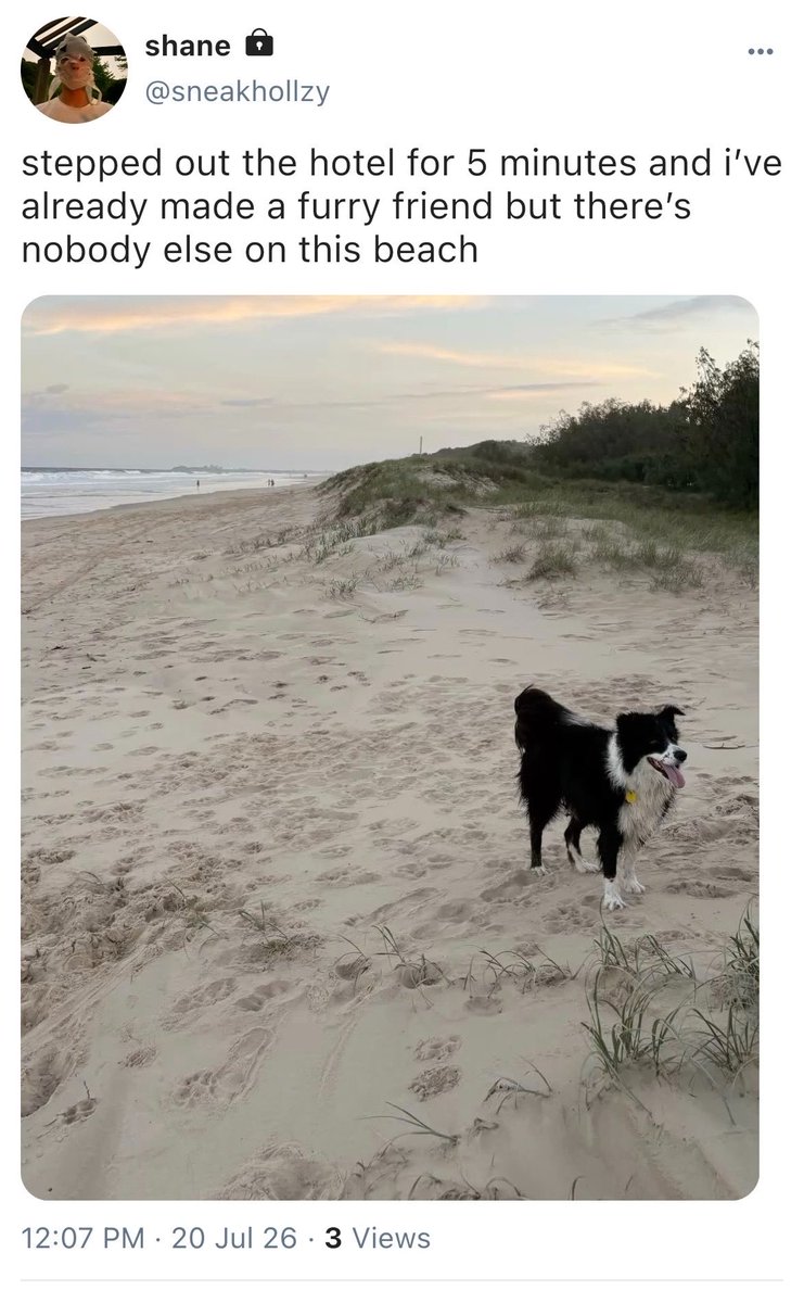 rozykae's tweet photo. #hollanov smau where during shane and hayden’s first day on holiday in melbourne, shane meets ilya on the beach because of strange circumstances, not knowing that the next 2 weeks of his vacation will be spent fawning over the local surfing instructor. https://t.co/Bi7wrel01e