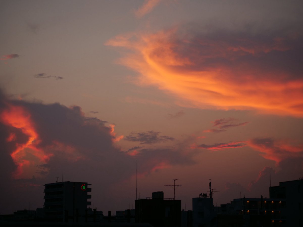 Shjzdb's tweet photo. 夏雲 https://t.co/5lofulLqVy