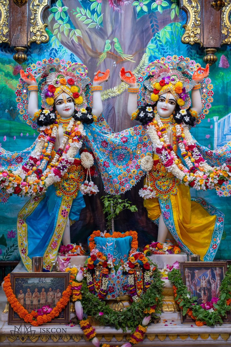 theholy_monk's tweet photo. Today's Singar Darshan 
ISKCON Temple Vrindavan 
Date: 21 Jul 2026  

🎉🥭🌾Nitai Gaurang 🌾☘️🎉 https://t.co/vLXmSY4lUL