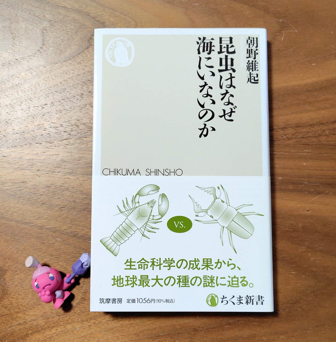 ginnansalt's tweet photo. 『昆虫はなぜ海にいないのか』
朝野維起　ちくま新書

昆虫を昆虫たらしめるものとは何か？
あんまり考えたことなかった。
昆虫は、クモ（鋏角類）やムカデ（多足類）よりも甲殻類に近いんですね。甲殻類が陸上環境に適応するために進化した生物であるらしい。
驚きの連続で楽しい！
#読了 https://t.co/QLKYfSYbtX