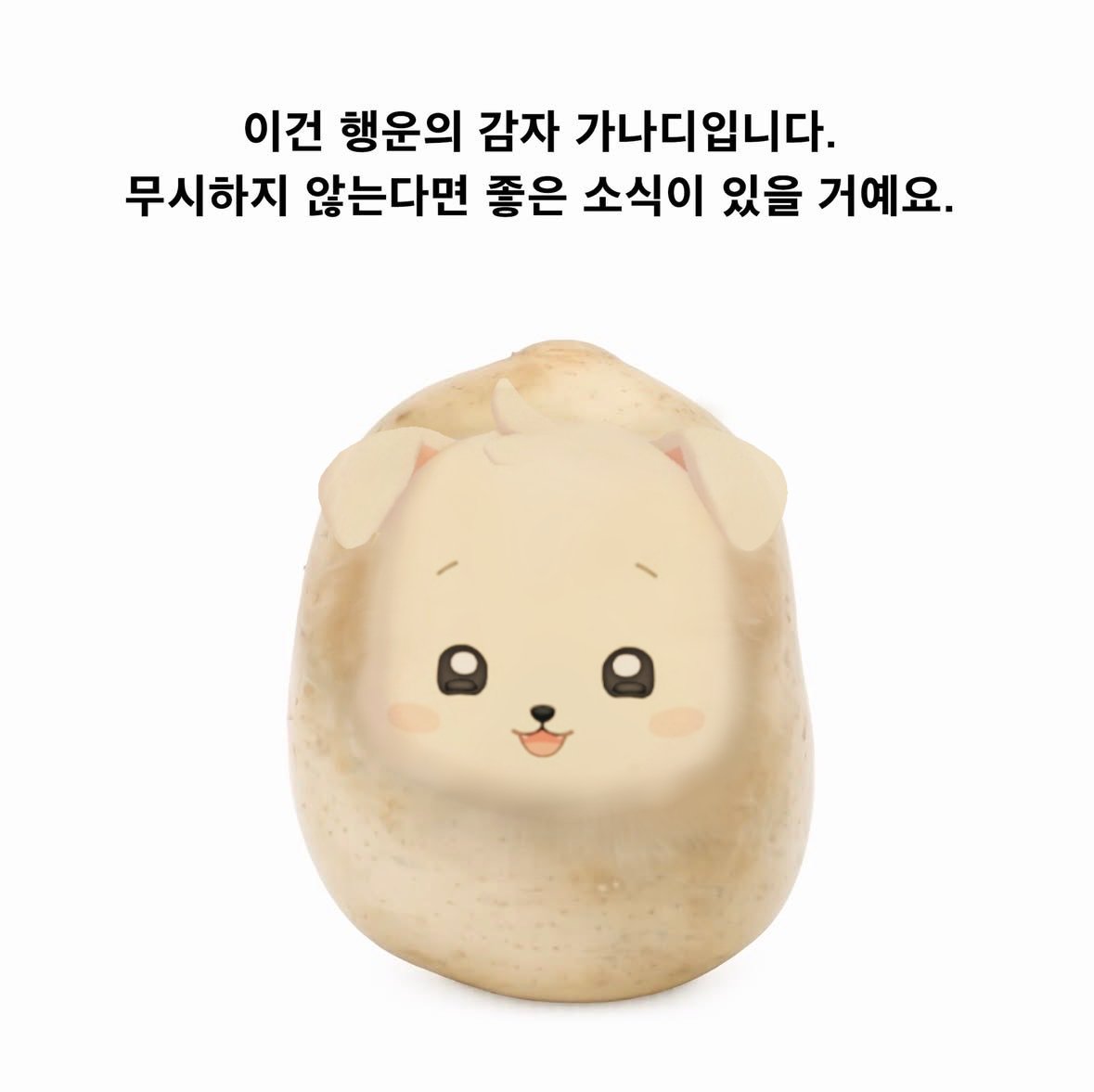 donotopen_door's tweet photo. https://t.co/rrSB7DM2R5